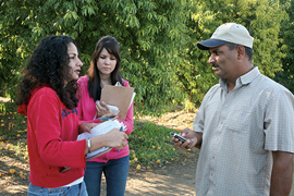 MARYSVILLE, CA - In Marysville, in California’s eastern Sacramento River Valley, migrant Mexican workers and immigrants from the Punjab region of India and Pakistan work together in crews picking and sorting peaches.  During a CRLA field inspection, Preet Kaur, an attorney, and Sonia Garibay, a CRLA community outreach worker, interview Majeed Khan, a labor contractor to ensure legal working conditions for farm workers.